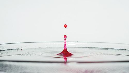 Close-up of red drop falling on water against white background