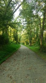 Road amidst trees in forest during autumn