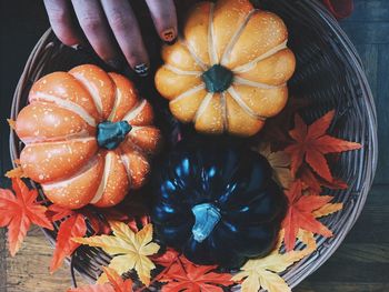 Close-up of hand holding pumpkin