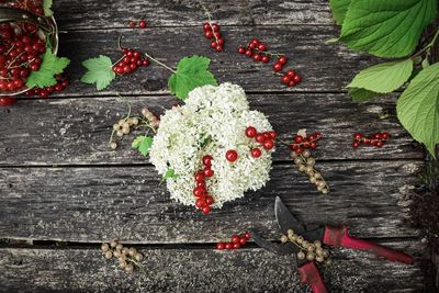 High angle view of red berries on table