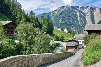 Trees and houses by road against sky