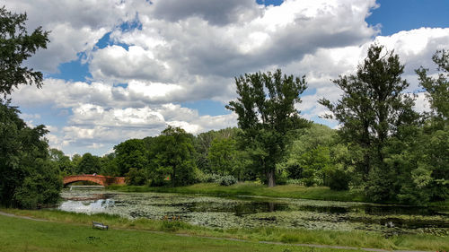 Panoramic view of trees and lake against sky