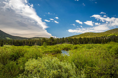 Scenic view of landscape against sky