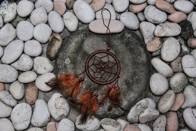 High angle view of crab on pebbles