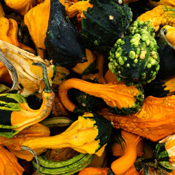 High angle view of vegetables for sale at market stall