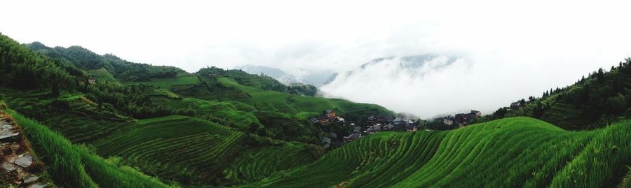 Scenic view of green landscape