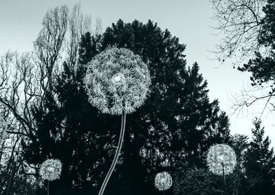 Low angle view of trees against sky