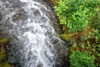 High angle view of waterfall in forest