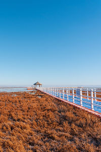 Scenic view of sea against clear blue sky