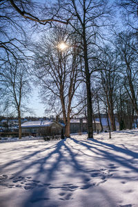 Bare trees on snow covered landscape