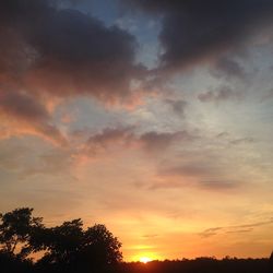 Silhouette of trees at sunset