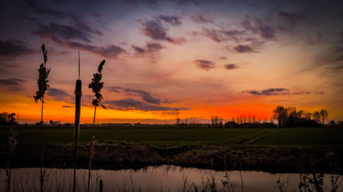 Scenic view of field against sky during sunset