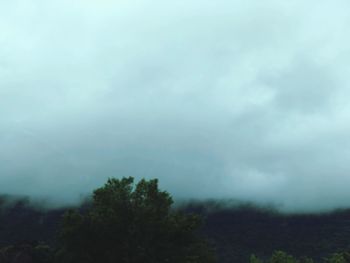 Trees on landscape against sky