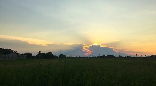 Scenic view of field against sky during sunset
