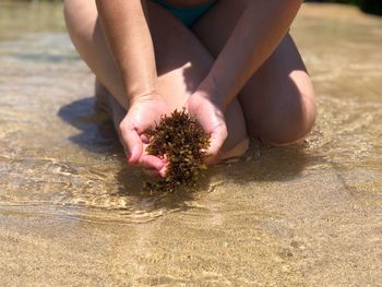 Low section of person on sand at beach