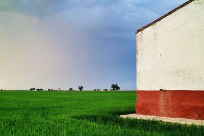 House on grassy field