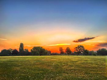 Scenic view of grassy field against sky at sunset