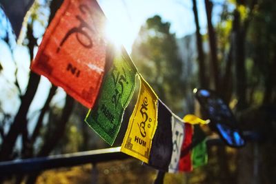 Close-up of love padlocks hanging