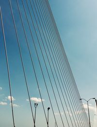 Sunshine skyway bridge 