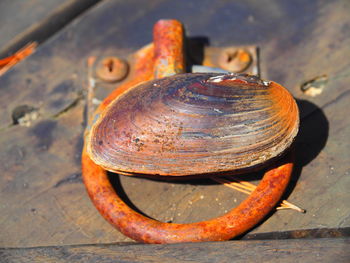 Close-up of rusty metal on table