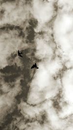 Low angle view of birds flying in sky