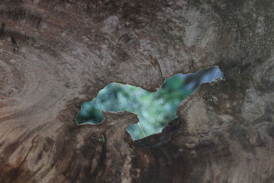 Close-up of rock formation in cave