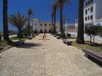 Footpath amidst palm trees and buildings against sky