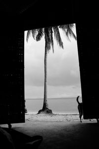 Silhouette bird by sea against sky