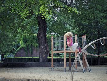 Trees in park