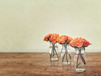 Close-up of coral rose in water filled jar on table