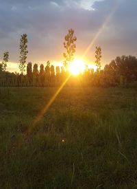 Scenic view of field against sky during sunset