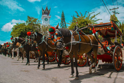 Horse cart on street