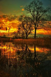 Silhouette bare trees by lake against sky during sunset