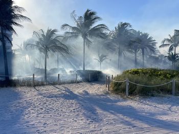 Fire on the beach - miami 
