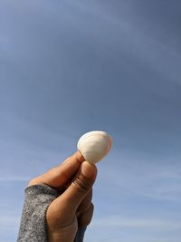 Close-up of person holding shell against sky