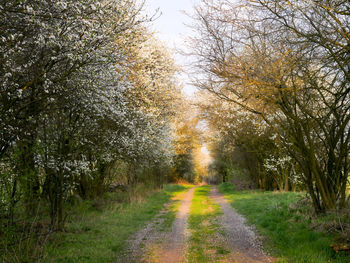 View of road in autumn