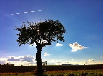 Scenic view of grassy field against sky