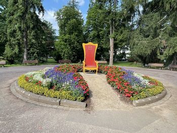 View of flowering plants in park