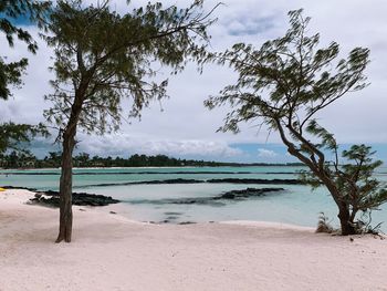 Scenic view of beach against sky