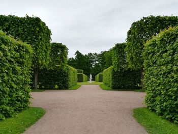 Trees in park against sky