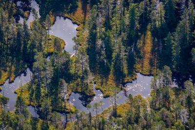 High angle view of trees by mountains against sky