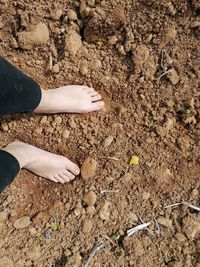 Low section of woman standing on mud