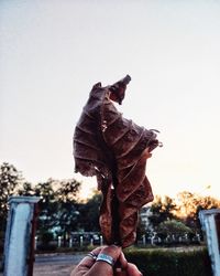 Close-up of hand holding statue against clear sky