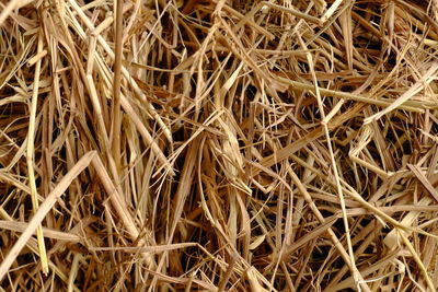 Full frame shot of hay bales on field