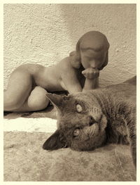 auto post production filter