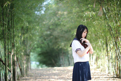 Young woman standing amidst bamboo groove