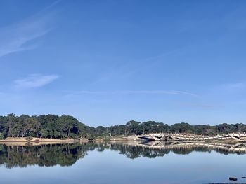 Scenic view of lake against blue sky