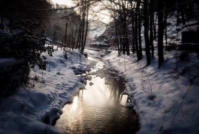 Stream amidst snow covered field in forest