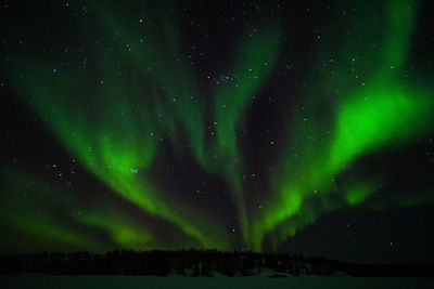 Low angle view of sky at night