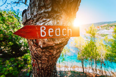 Close-up of sign on tree trunk against sky